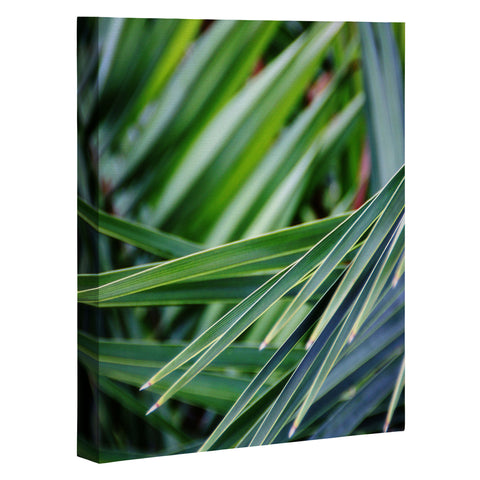 Shannon Clark Jungle Art Canvas