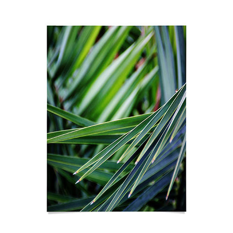 Shannon Clark Jungle Poster