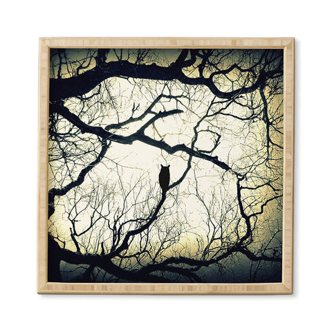 Shannon Clark Mysterious Woods Framed Wall Art