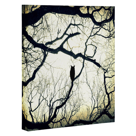 Shannon Clark Mysterious Woods Art Canvas