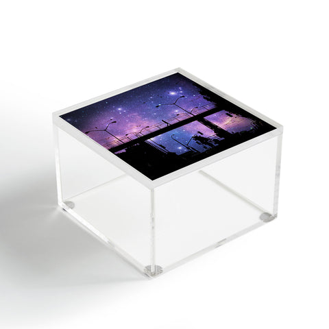 Shannon Clark Night Walk Acrylic Box