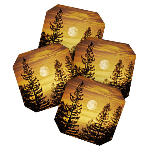Shannon Clark October Moon Coaster Set