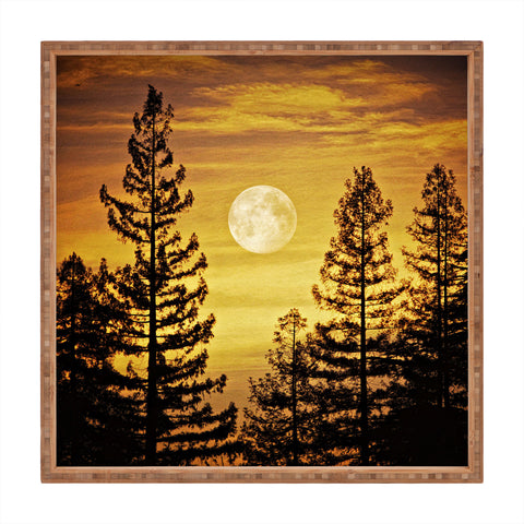Shannon Clark October Moon Square Tray