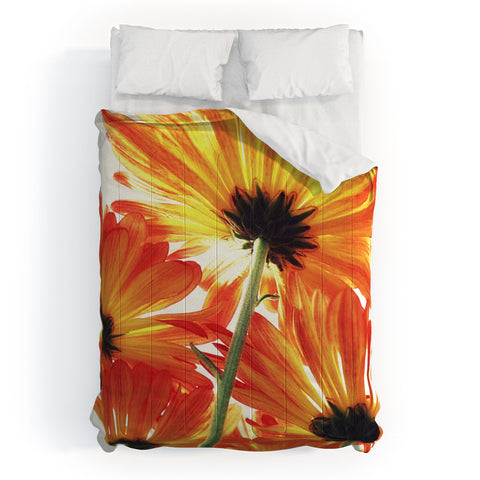 Shannon Clark Orange Daisies Comforter