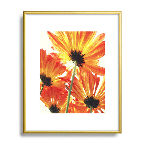 Shannon Clark Orange Daisies Metal Framed Art Print