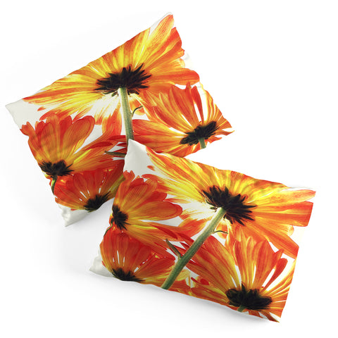 Shannon Clark Orange Daisies Pillow Shams