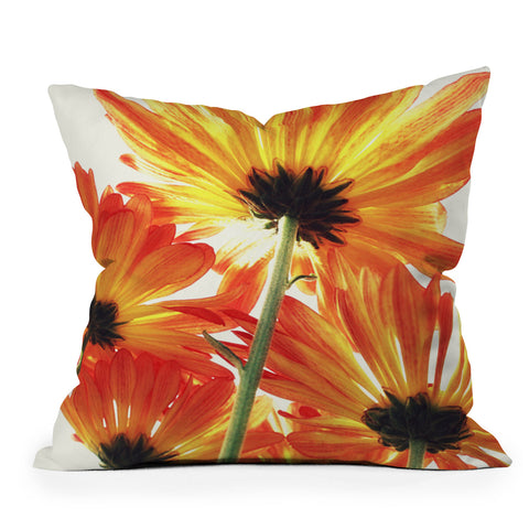 Shannon Clark Orange Daisies Throw Pillow