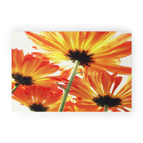 Shannon Clark Orange Daisies Welcome Mat