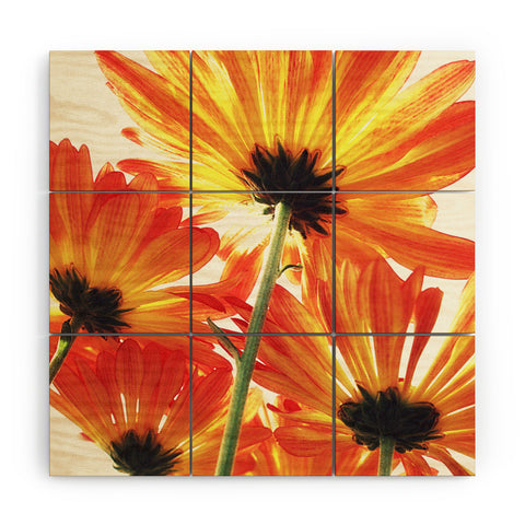 Shannon Clark Orange Daisies Wood Wall Mural