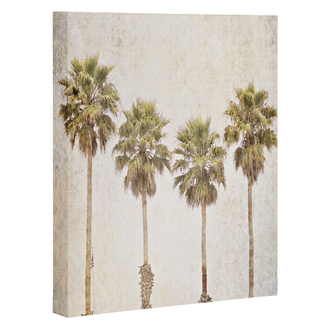 Shannon Clark Palm Paradise Art Canvas