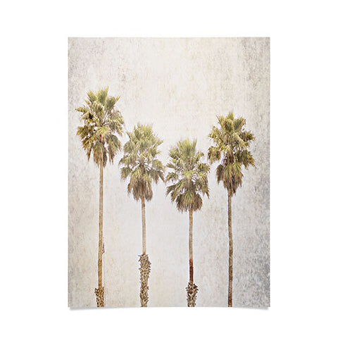 Shannon Clark Palm Paradise Poster