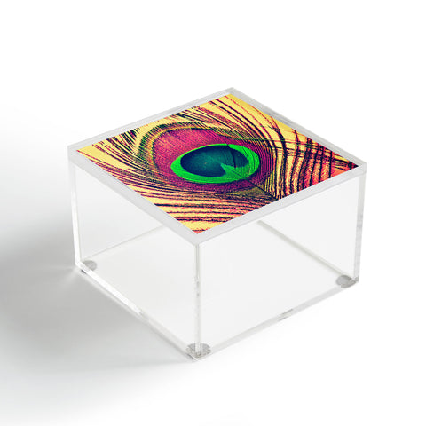 Shannon Clark Peacock 2 Acrylic Box