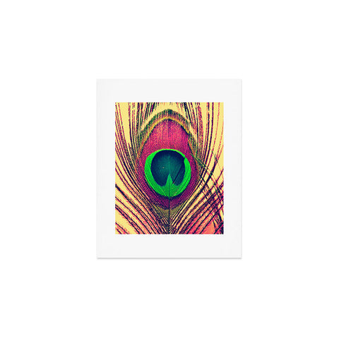 Shannon Clark Peacock 2 Art Print