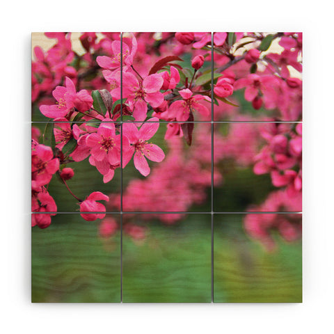 Shannon Clark Pink Perfection Wood Wall Mural