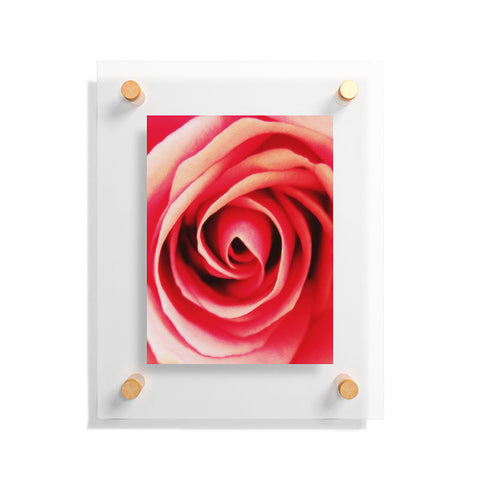 Shannon Clark Pink Rose 2 Floating Acrylic Print