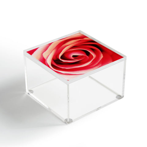 Shannon Clark Pink Rose 2 Acrylic Box
