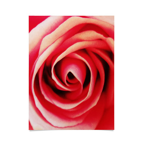 Shannon Clark Pink Rose 2 Poster