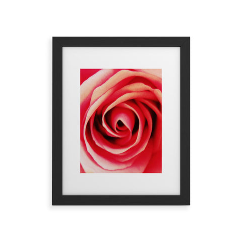 Shannon Clark Pink Rose 2 Framed Art Print