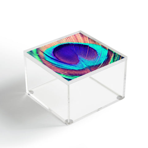 Shannon Clark Pretty Peacock Acrylic Box
