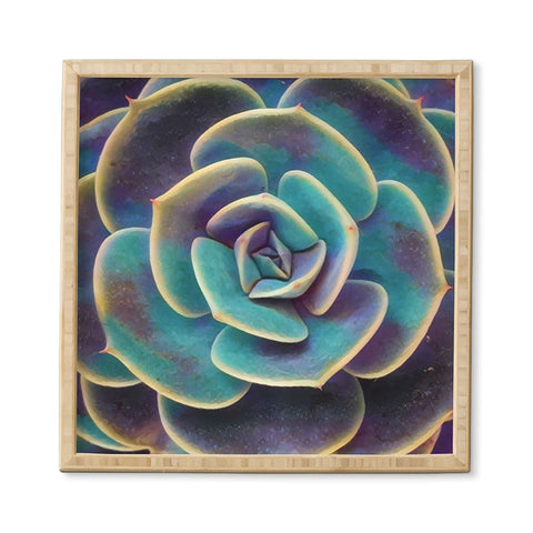 Shannon Clark Purple and Blue Succulent Framed Wall Art