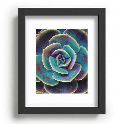 Shannon Clark Purple and Blue Succulent Recessed Framing Rectangle