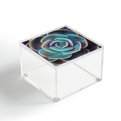 Shannon Clark Purple and Blue Succulent Acrylic Box