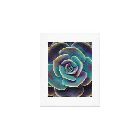Shannon Clark Purple and Blue Succulent Art Print