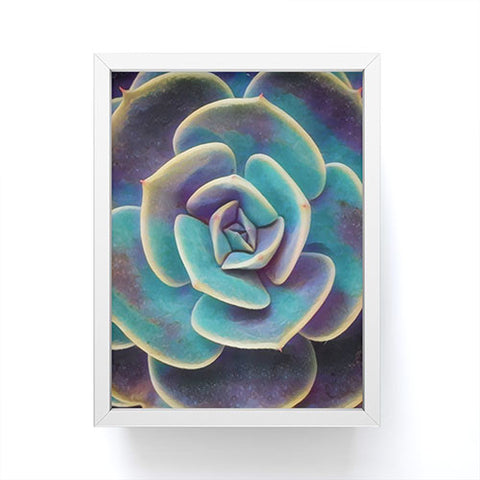 Shannon Clark Purple and Blue Succulent Framed Mini Art Print