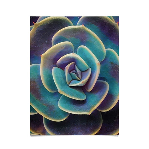 Shannon Clark Purple and Blue Succulent Poster