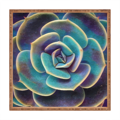 Shannon Clark Purple and Blue Succulent Square Tray