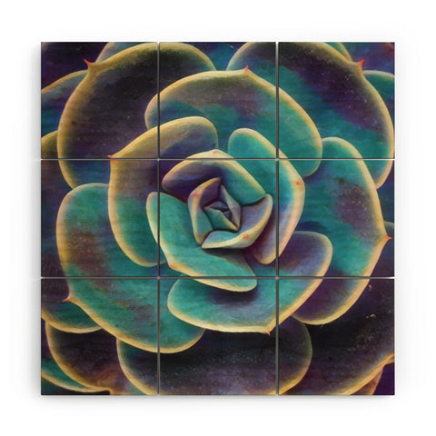 Shannon Clark Purple and Blue Succulent Wood Wall Mural