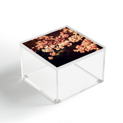 Shannon Clark Romance Acrylic Box
