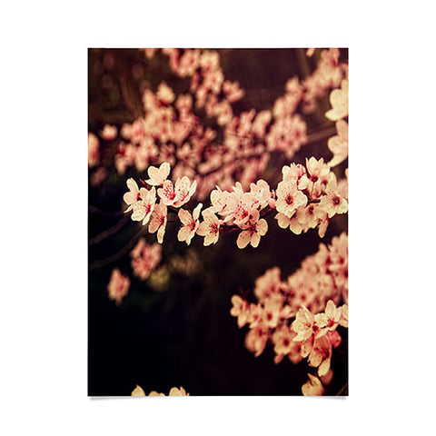 Shannon Clark Romance Poster