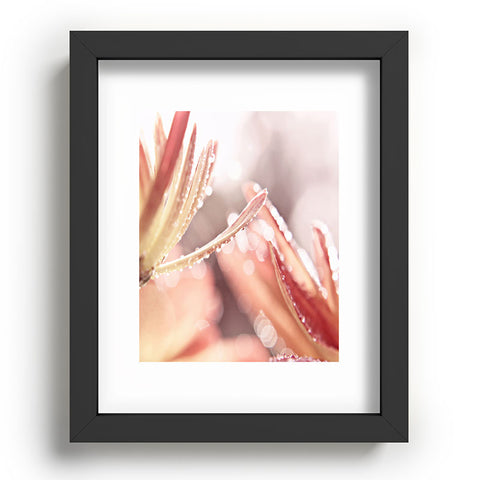 Shannon Clark Shimmer Recessed Framing Rectangle