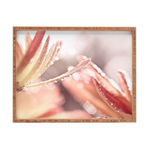 Shannon Clark Shimmer Rectangular Tray