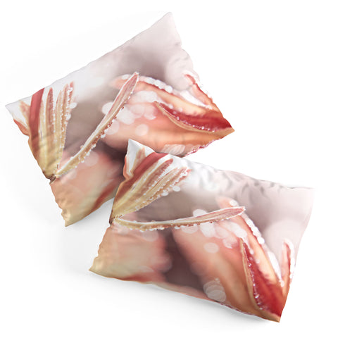 Shannon Clark Shimmer Pillow Shams