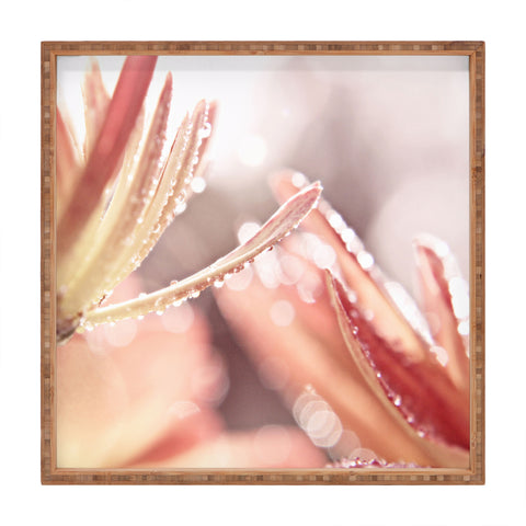 Shannon Clark Shimmer Square Tray