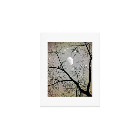 Shannon Clark Silver Sky Art Print
