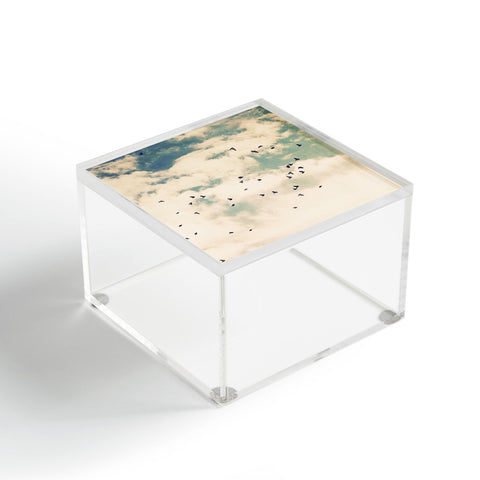 Shannon Clark Summer Flight Sight Acrylic Box