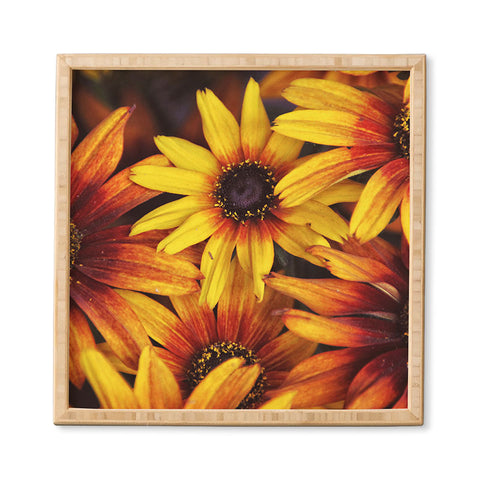 Shannon Clark Sunshine Petals Framed Wall Art