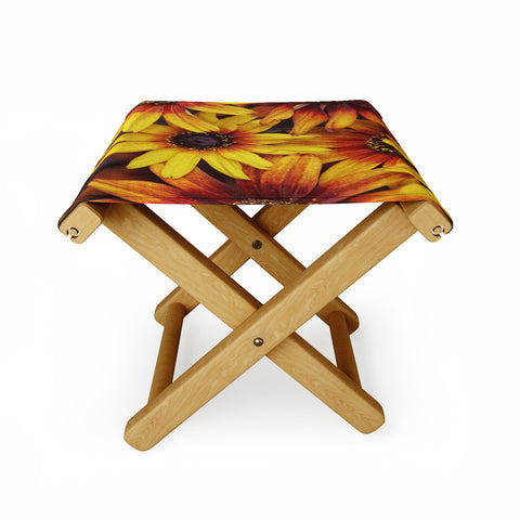 Shannon Clark Sunshine Petals Folding Stool