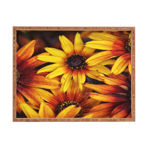 Shannon Clark Sunshine Petals Rectangular Tray