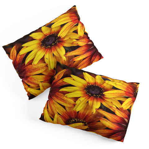 Shannon Clark Sunshine Petals Pillow Shams