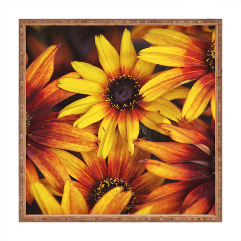 Shannon Clark Sunshine Petals Square Tray