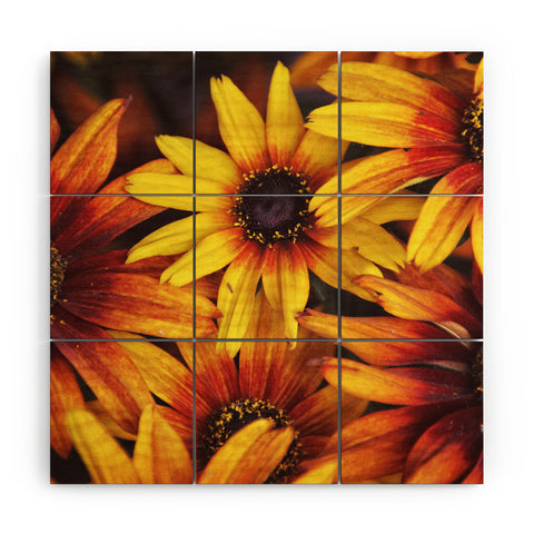 Shannon Clark Sunshine Petals Wood Wall Mural