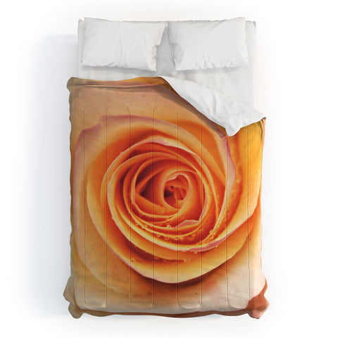 Shannon Clark Sweetly Comforter