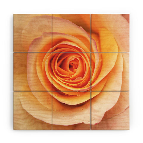 Shannon Clark Sweetly Wood Wall Mural