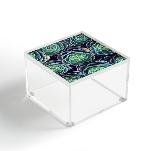 Shannon Clark Vibrant Succelents Acrylic Box