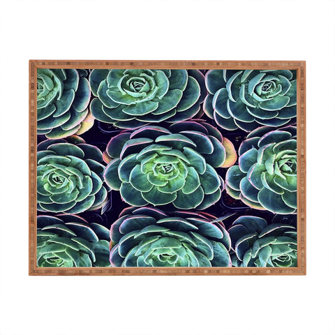 Shannon Clark Vibrant Succelents Rectangular Tray
