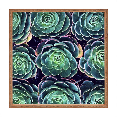 Shannon Clark Vibrant Succelents Square Tray